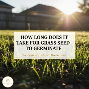 How Long Does It Take for Grass Seed to Germinate